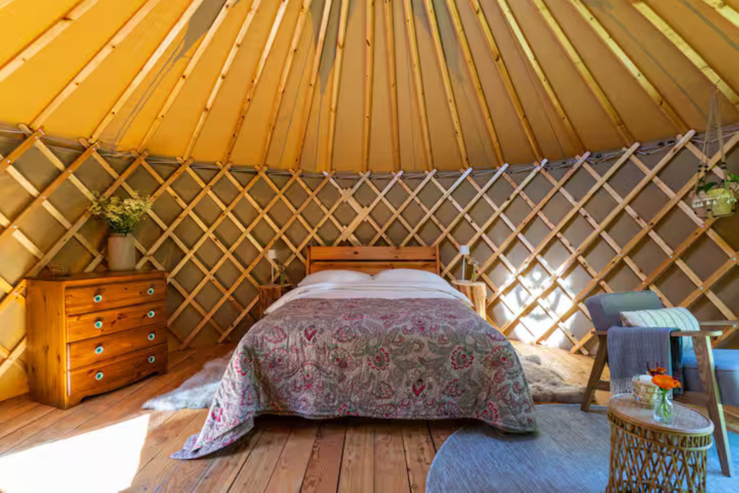 4df8797e-e624-4062-a4a0-e3ce3c95c135 Glamping yurt at evening