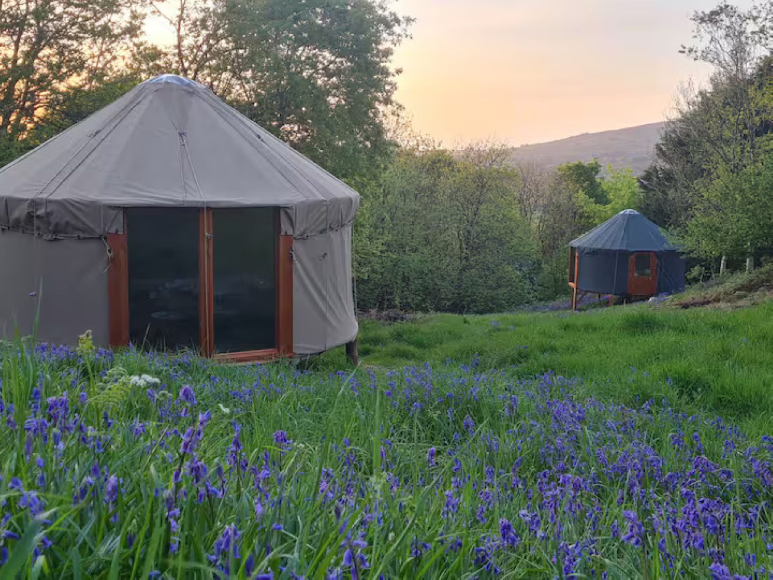 bf02ffd8-13d9-410d-a947-92adf4f666ac Glamping yurt at evening